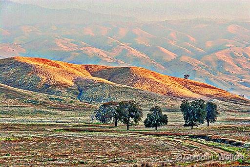 Foothills At Dawn_23588.jpg - Photographed in the foothills of the Greenhorn Mountains east of Bakersfield, California, USA.